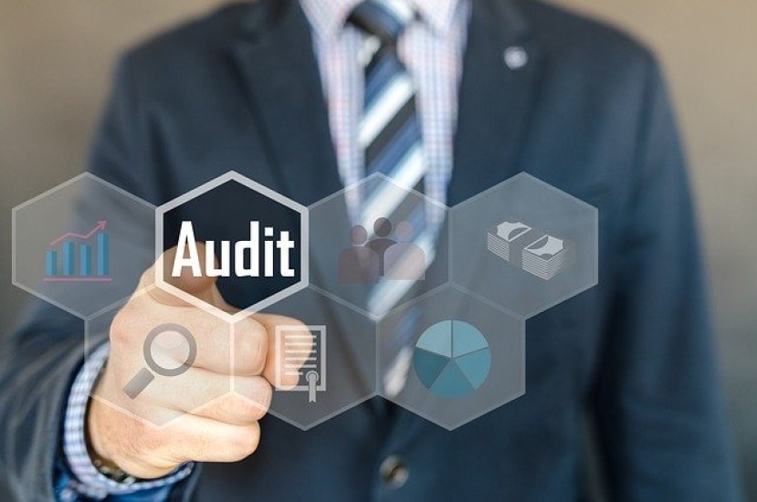 WHAT IS PUBLIC SECTOR AUDITING