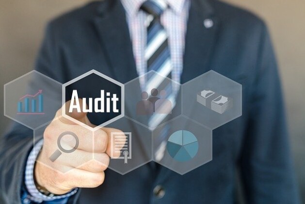 WHAT IS PURPOSE OF PUBLIC SECTOR AUDIT?