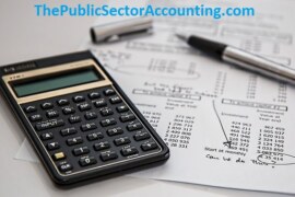 WHAT IS PUBLIC SECTOR INVESTMENT?
