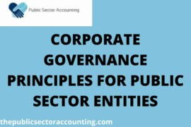 CORPORATE GOVERNANCE PRINCIPLES FOR PUBLIC SECTOR ENTITIES