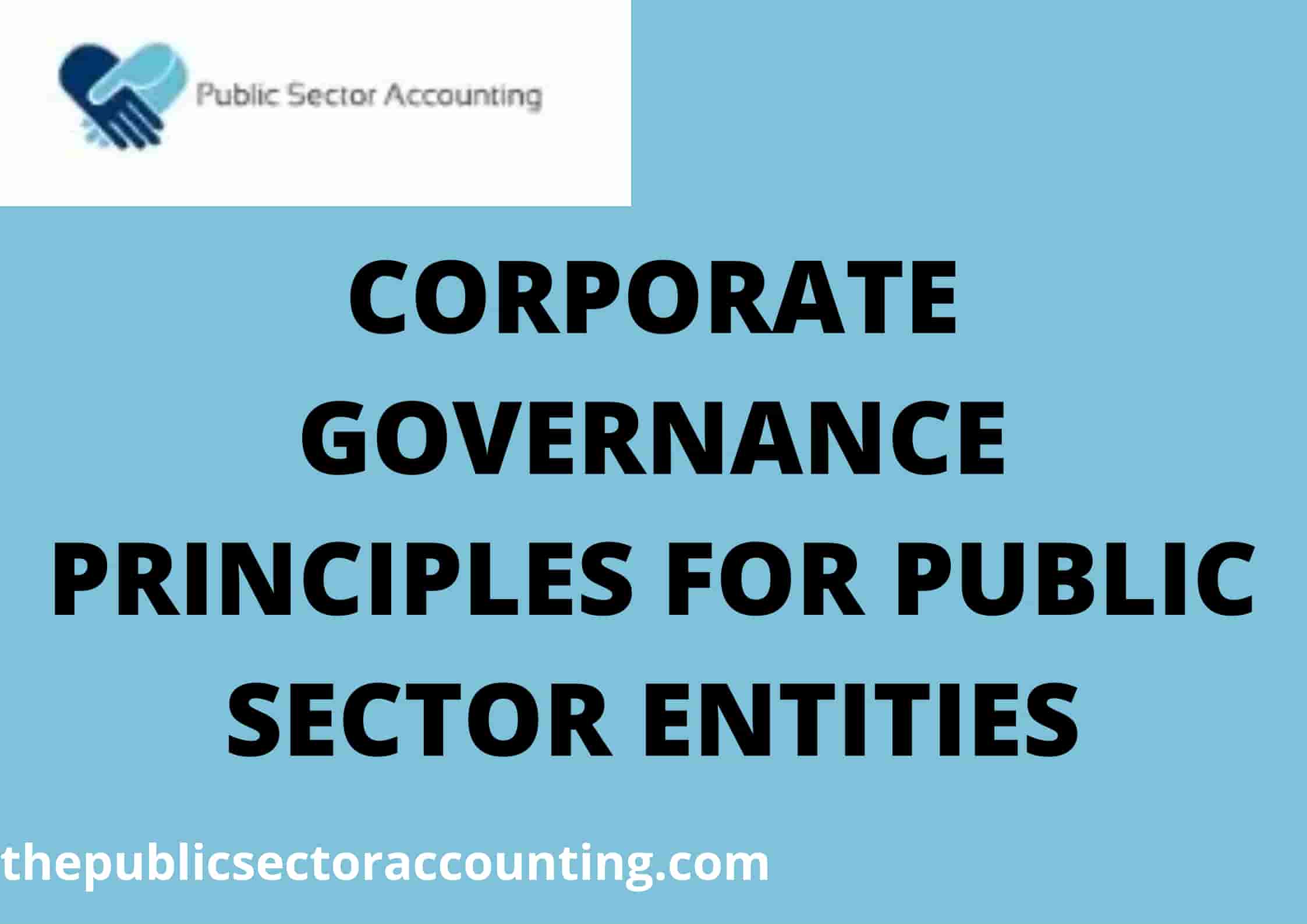 corporate-governance-principles-for-public-sector-entities