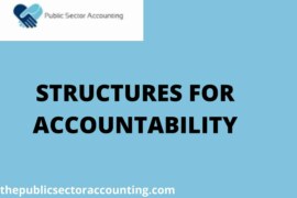 STRUCTURES FOR ACCOUNTABILITY IN THE PUBLIC SECTOR