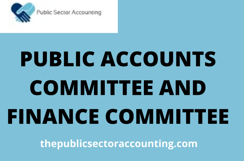 PUBLIC ACCOUNTS COMMITTEE AND FINANCE COMMITTEE